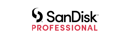 SanDisk Professional